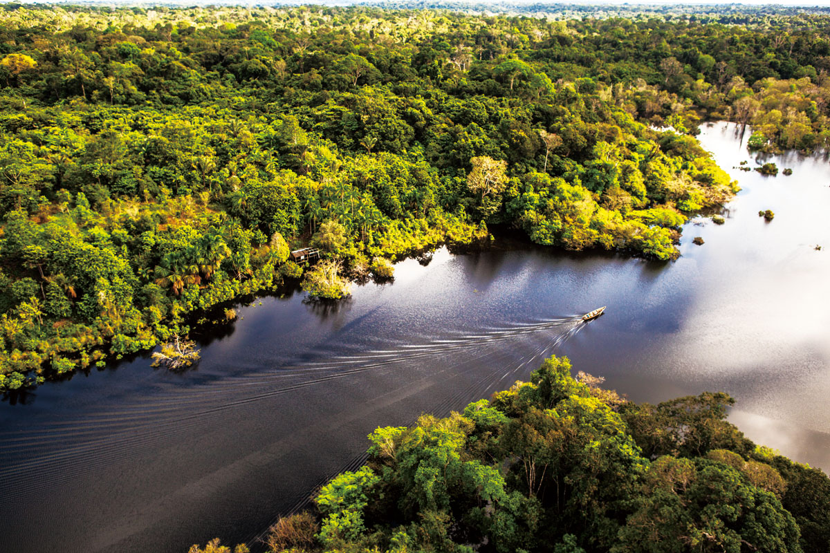 世界最大の熱帯雨林アマゾンと観光拠点マナウス 株式会社アルファインテル